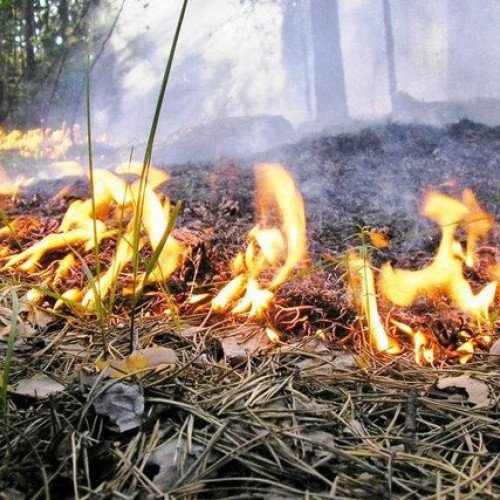 Ceyranbatan su anbarının ərazisində yanğın başlayıb